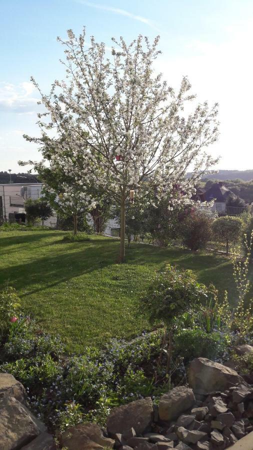 Ferienwohnung Sayntalblick Caan Extérieur photo